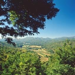 Lovely Views