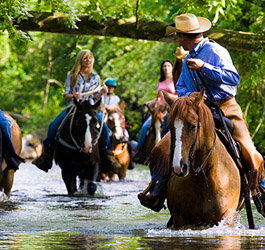 Horseback Riding Package